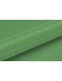 CC13 - Light Green